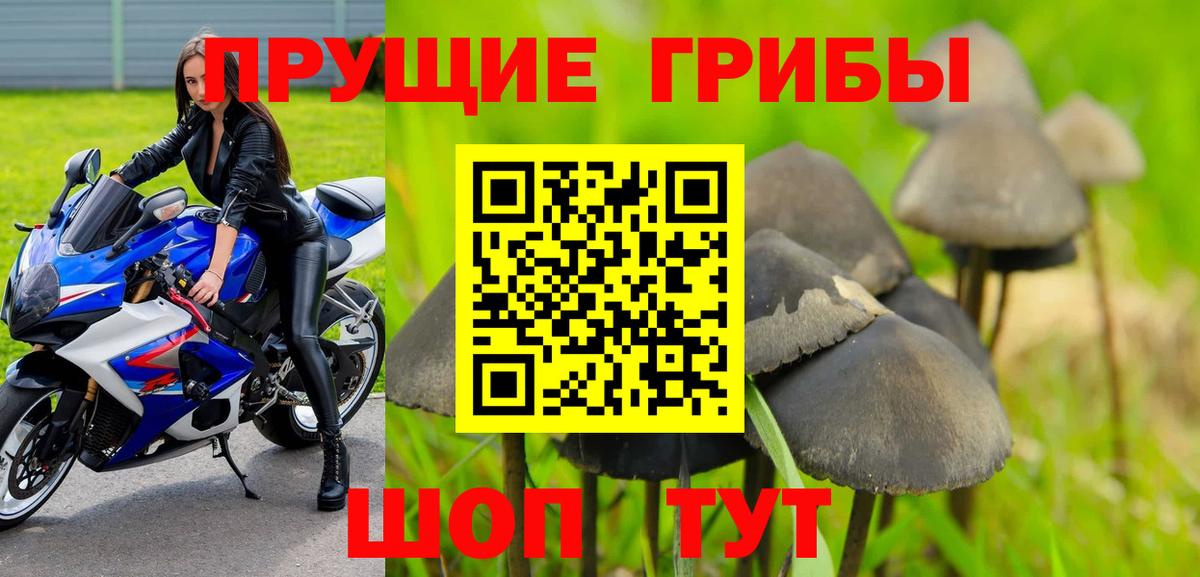 Псилоцибиновые грибы Psilocybine cubensis  Вход с VPN  Псилоцибиновые грибы мухоморы  Старая Купавна 